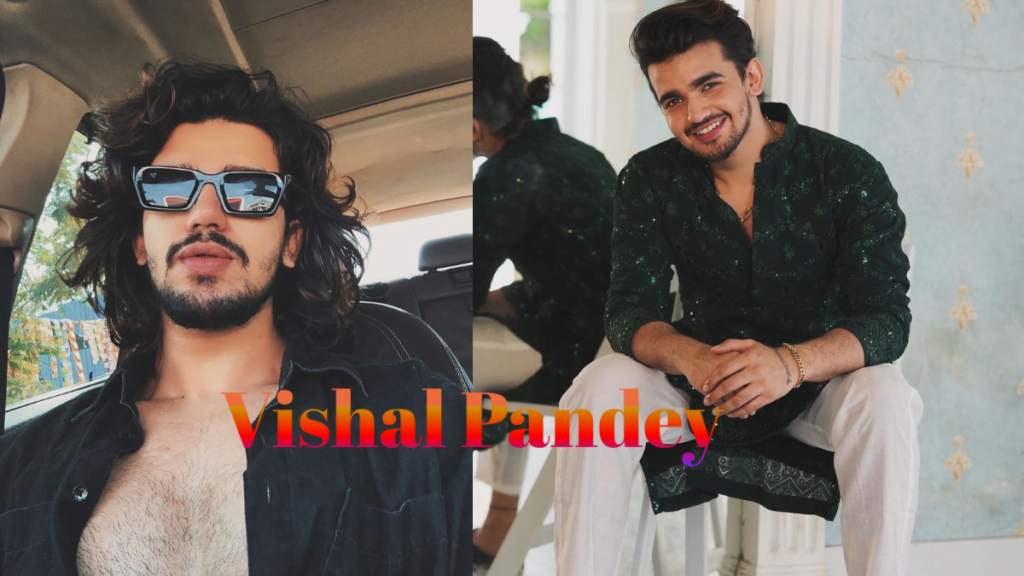 vishal pandey bio gf wife net worth